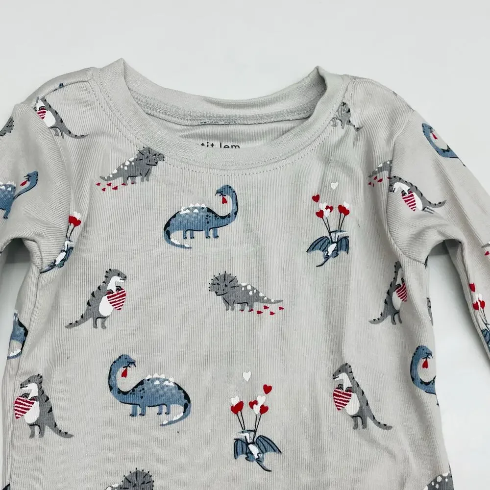 NWT Petit Lem 12M Organic Dino Hearts Pajamas